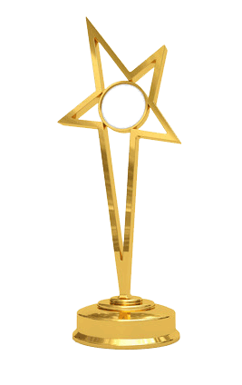 Aylin Kılıç Ödülleri
